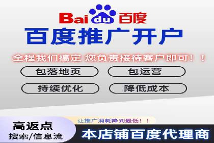 Sem优化公司成功案例：转化率提升之道